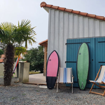 surfboards large selection buy online