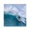 Surfboard TORQ Epoxy TET 7.8 V+ Funboard Blue