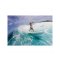Surfboard TORQ Epoxy TET 6.6 MOD Fish Pinlines weiß